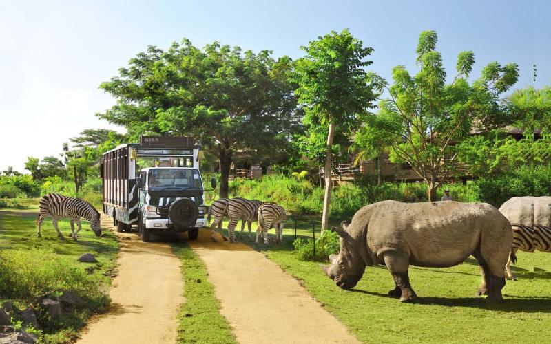 5 Zoos in Bali that will enhance the story of your vacation