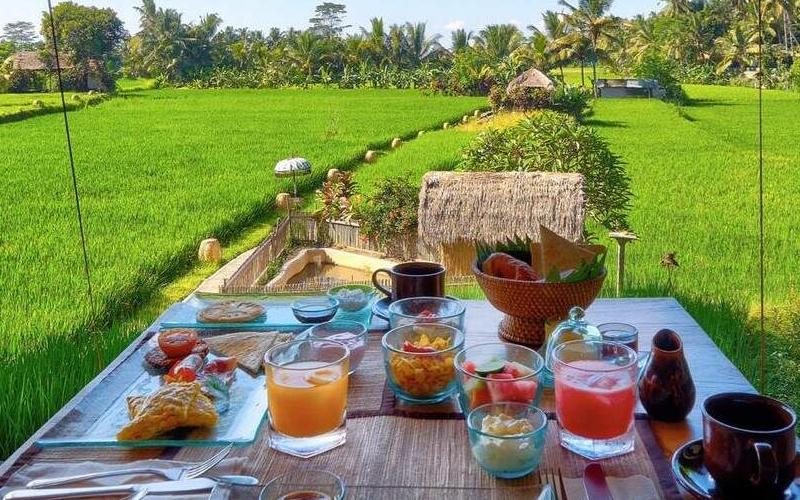 5 Restaurants in Bali with a View of the Rice Fields