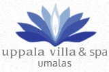 Uppala Villa and Spa Umallas